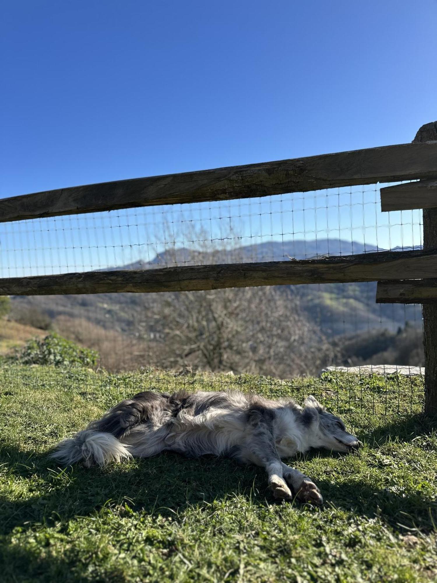 Almastur Rural Villa Pola de Siero Luaran gambar